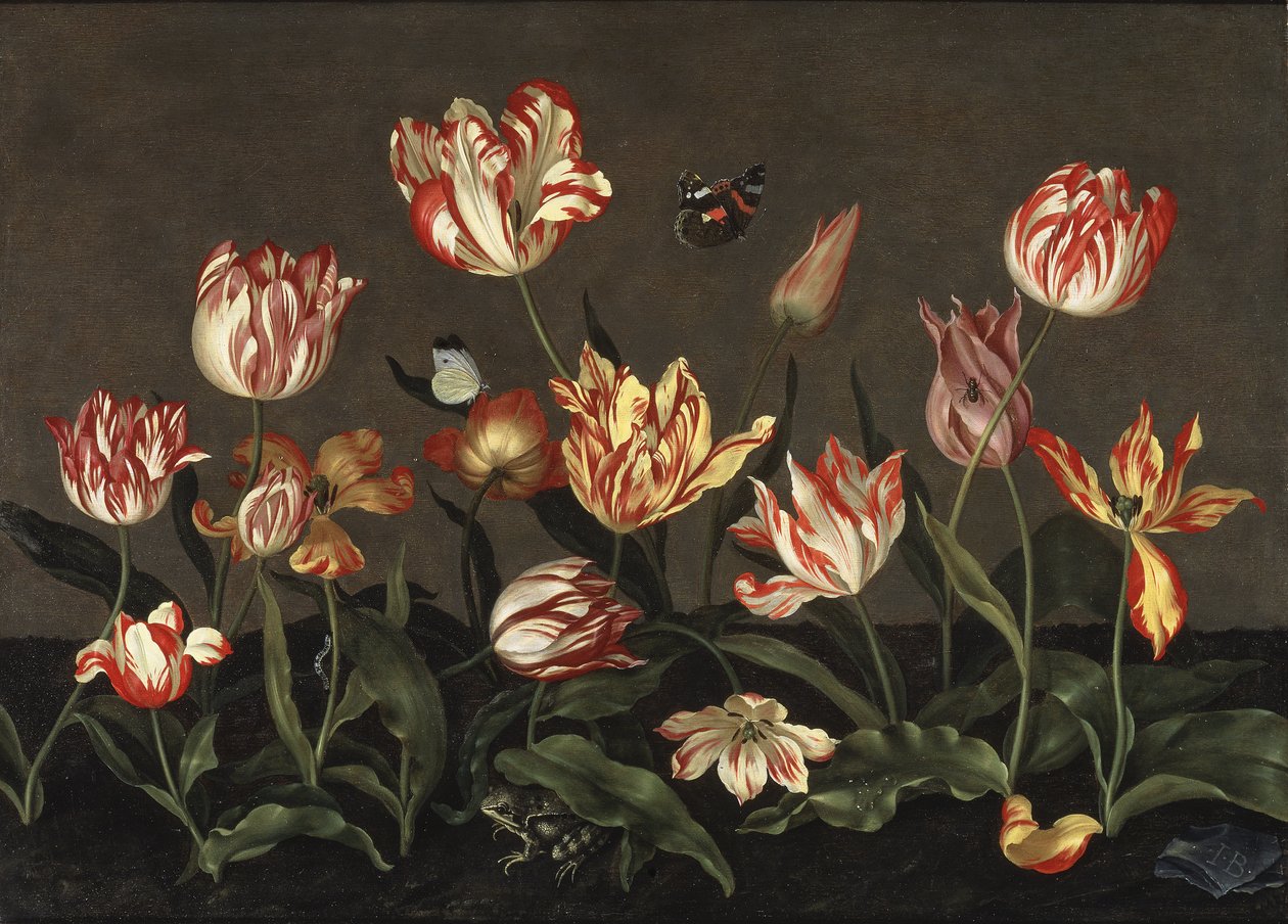 Nature morte avec des tulipes - Zátiší s tulipány, Bosschaert, Johannes (asi 1610-asi 1650). Olej na dřevě. Rozměr: 46 x 64 cm. Národní muzeum Stockholm od Johannes Bosschaert