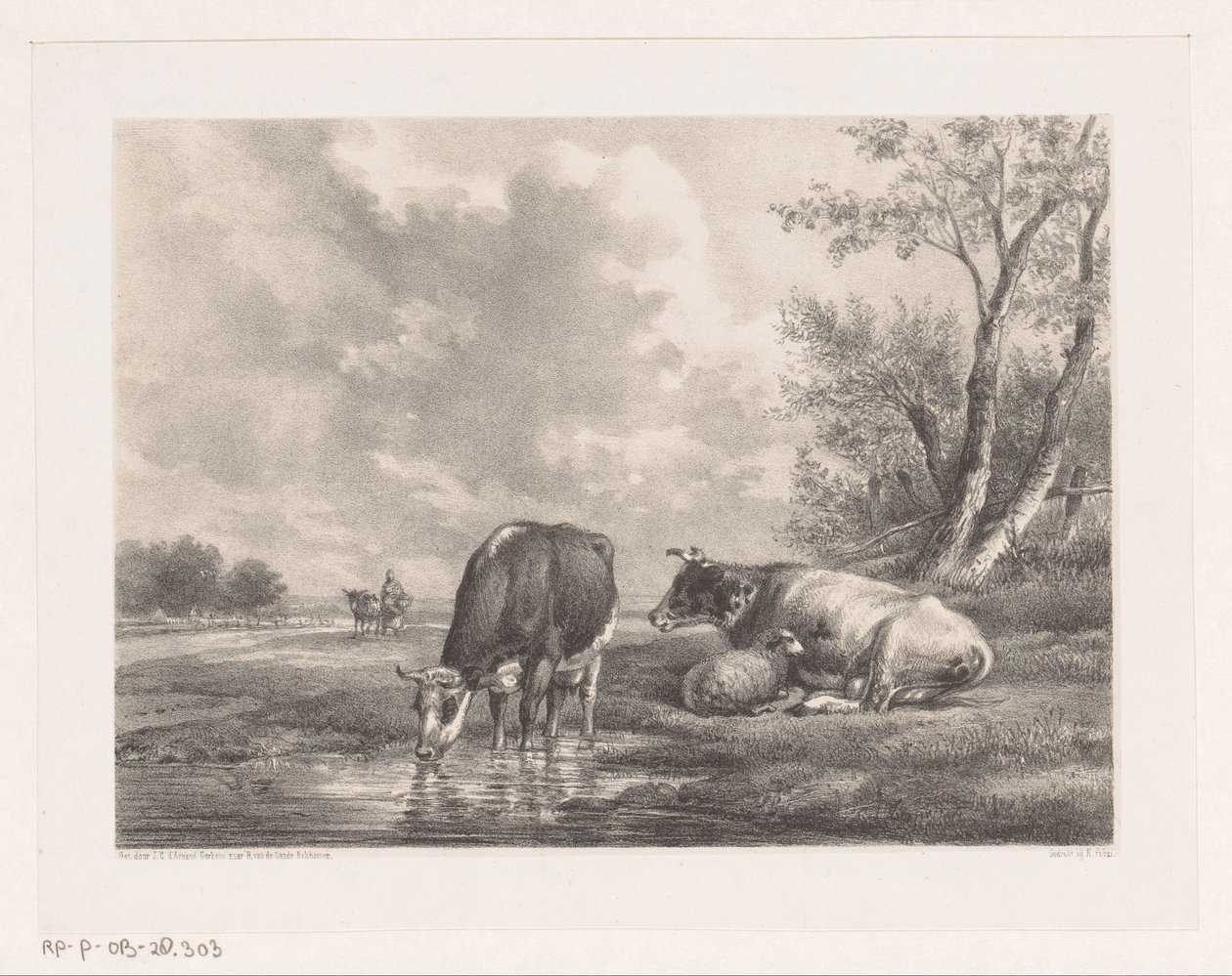 Dvě krávy a ovce u vody od Johannes Christiaan d