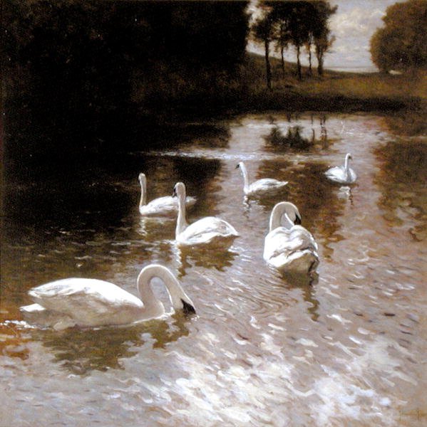 Labutě na jezeře, cca 1890 (olej na plátně) od Johannes Cornelis van Essen