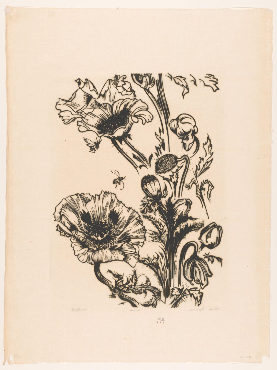 Studie papavers (původní název na objektu) od Johannes Frederik Engelbert ten Klooster (signed by artist)