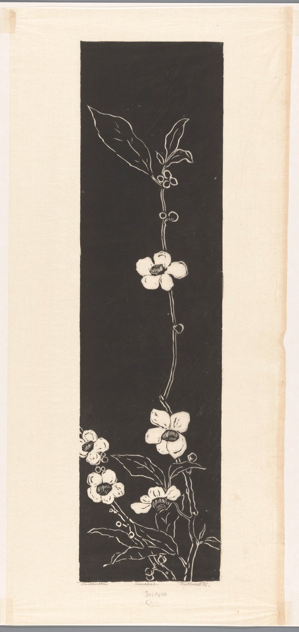 Tea Blossom (původní název na objektu) od Johannes Frederik Engelbert ten Klooster (signed by artist)
