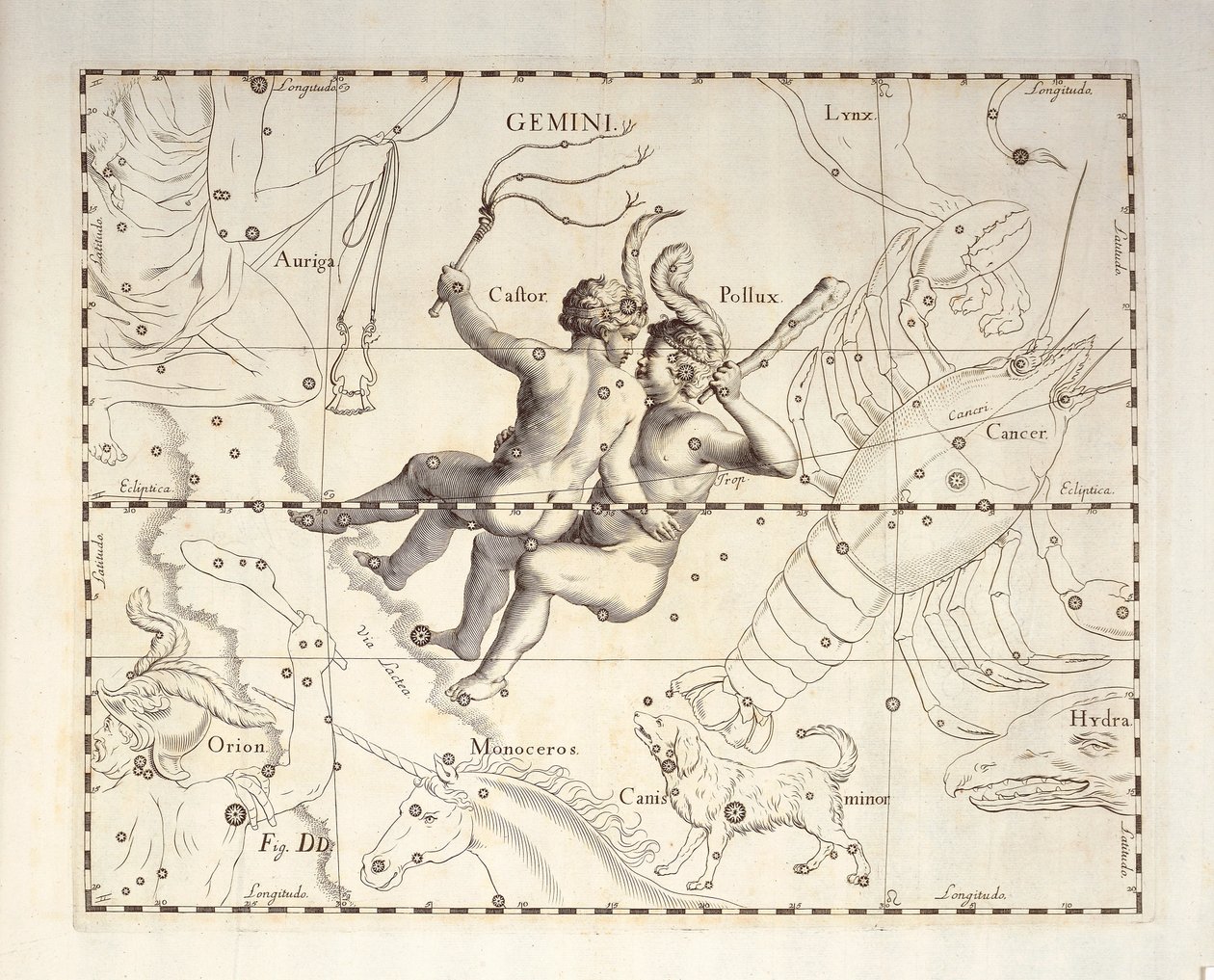 Souhvězdí Blíženců, rytina z nebeského atlasu Firmamentum Sobiescianum sive Uronographia, od Johanna Hevelia (1611-1687), Gdaňsk od Johannes Hevelius