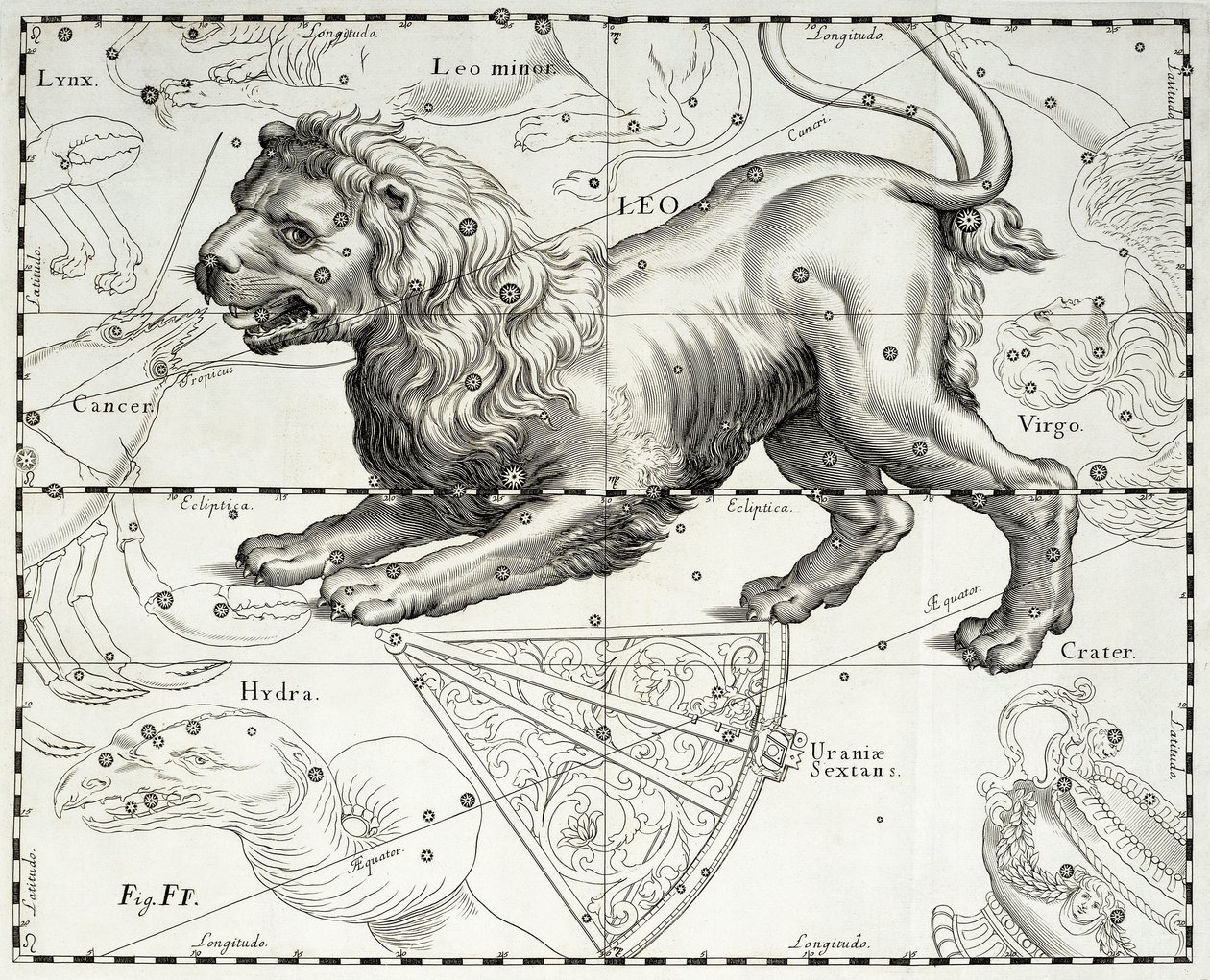 Lev, zodiakální souhvězdí Lva, ilustrace převzata z atlasu hvězd Johanna Hevelia (1611-1687) Firmamentum Sobiescianum sive Uranographia, Gdaňsk od Johannes Hevelius