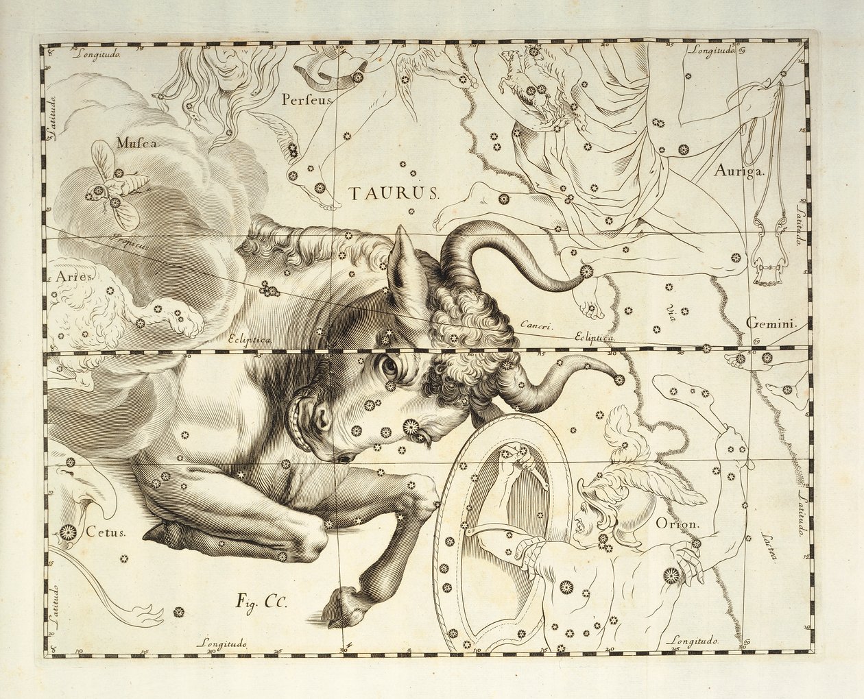 Býk, souhvězdí Býka, rytina z nebeského atlasu Firmamentum Sobiescianum sive Uronographia, Johann Hevelius (1611-1687), Gdaňsk od Johannes Hevelius
