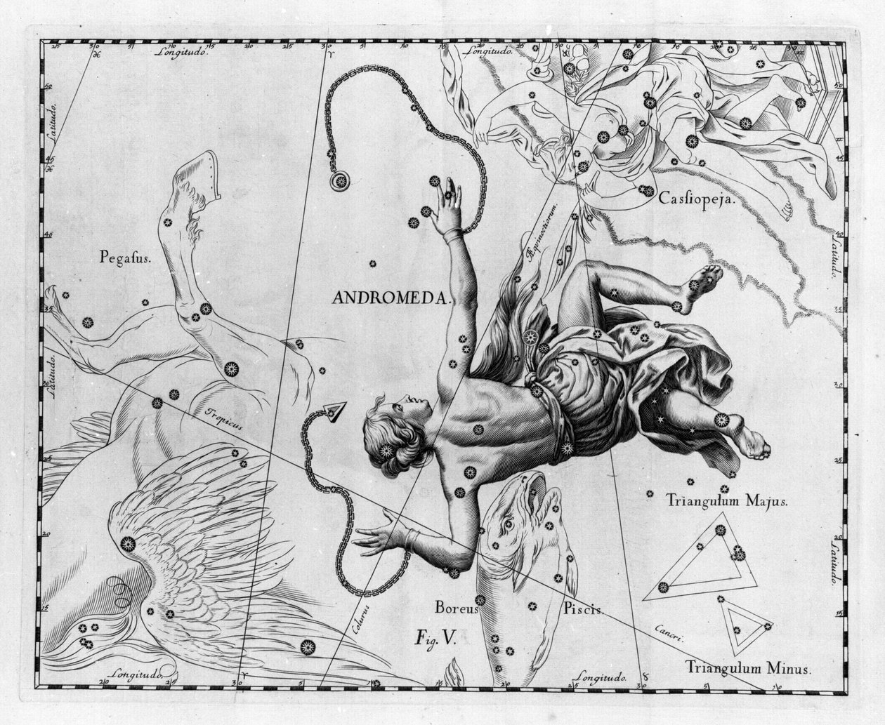 Souhvězdí Andromedy. Talíř nakreslený z "The Obliba Sobiescanum nebo Uranografie" od Johannese Hevelius nebo Hevel (1611-1687) od Johannes Hevelius