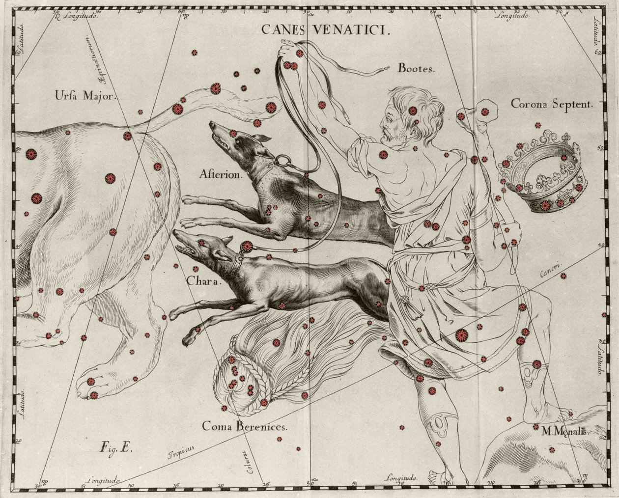 Souhvězdí Canes Venatici, Lovečtí psi. Talíř nakreslený z "" Firmamentum Sobiescanum sive Uranographia"" od Johannese Hevelia nebo Hevela (1611-1687) od Johannes Hevelius