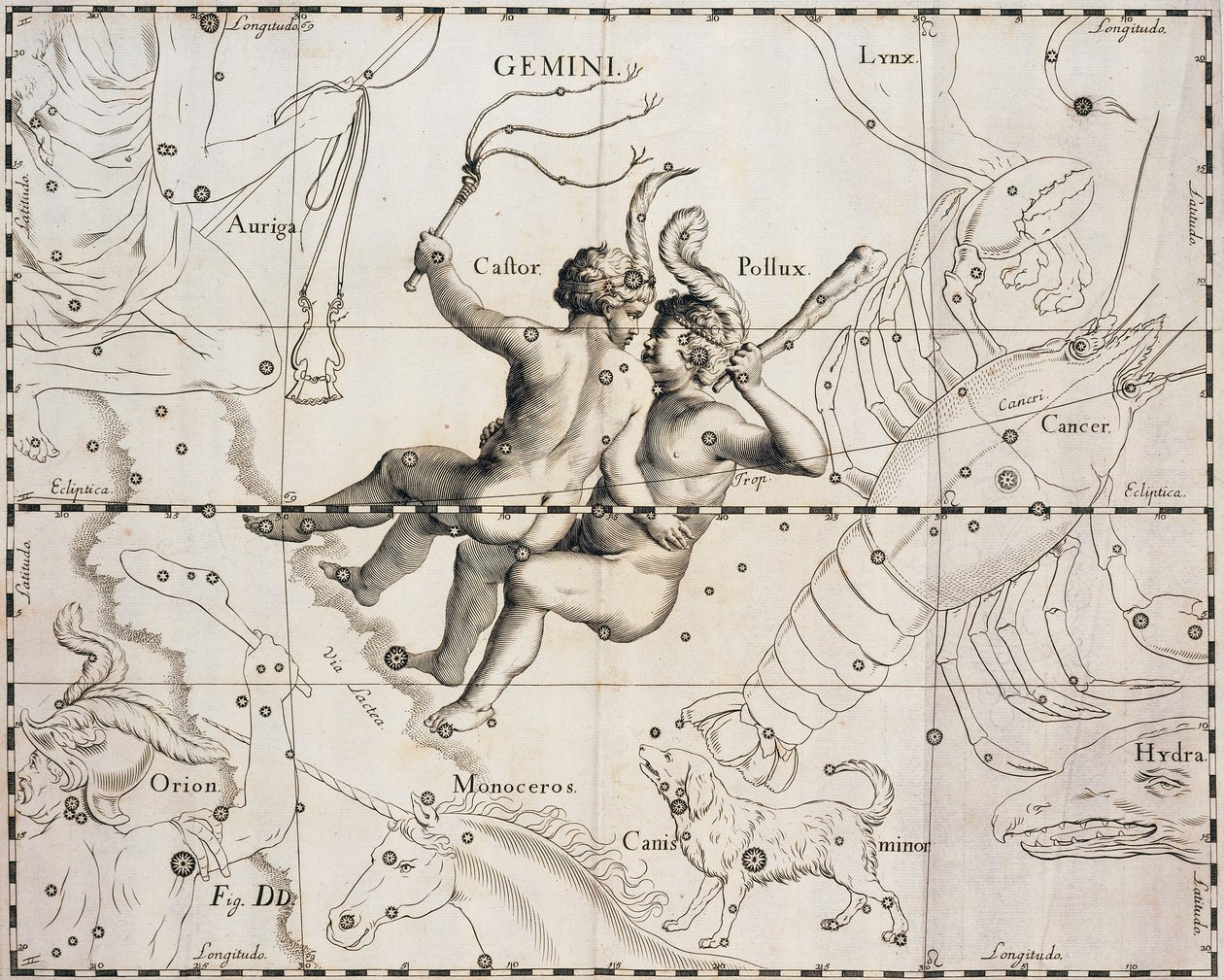 Souhvězdí Blíženců, ilustrace z Firmamentum Sobiescianum sive Uranographia, Johann Hevelius (1611-1687), Gdaňsk 1690 od Johannes Hevelius