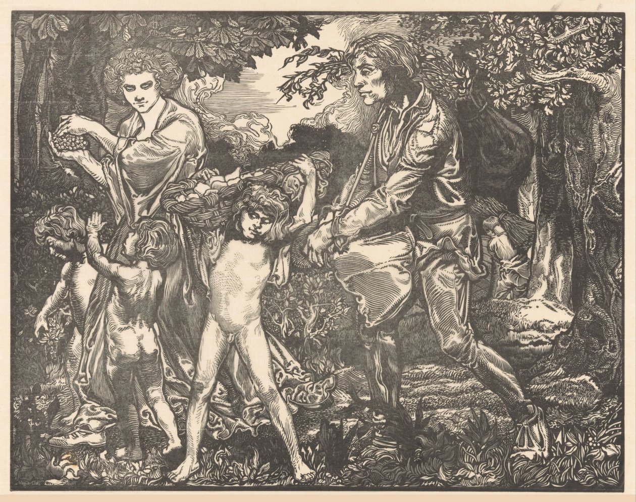 Ovocolog od Johannes Josephus Aarts (signed by artist)