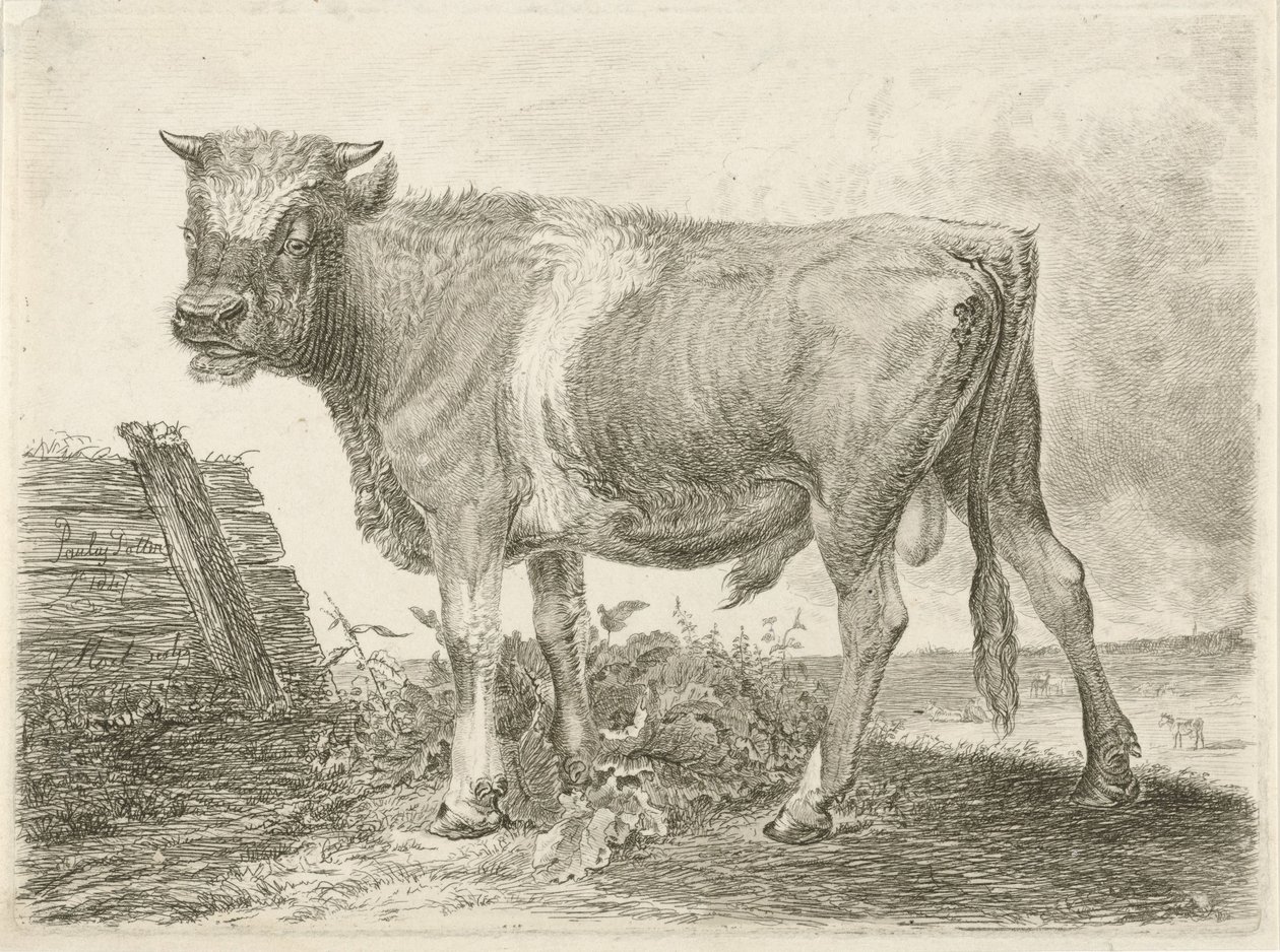 Stezky od Johannes Mock