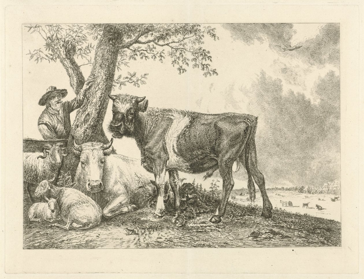 Býk a farmář od Johannes Mock