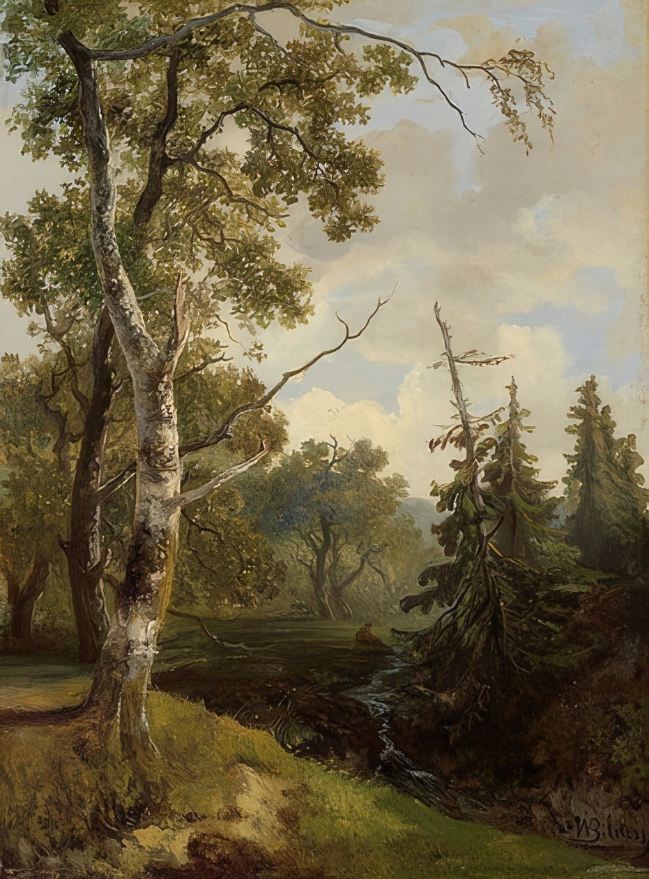 Waldstück bei Wolfheze (výhled na les u Wolfheze) od Johannes Warnardus Bilders