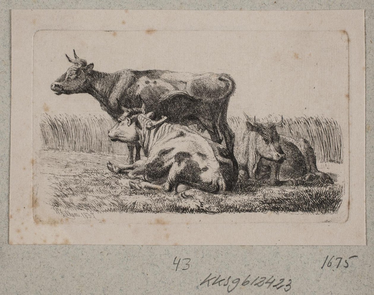 Tři krávy od Johannes Wilhelm Zillen