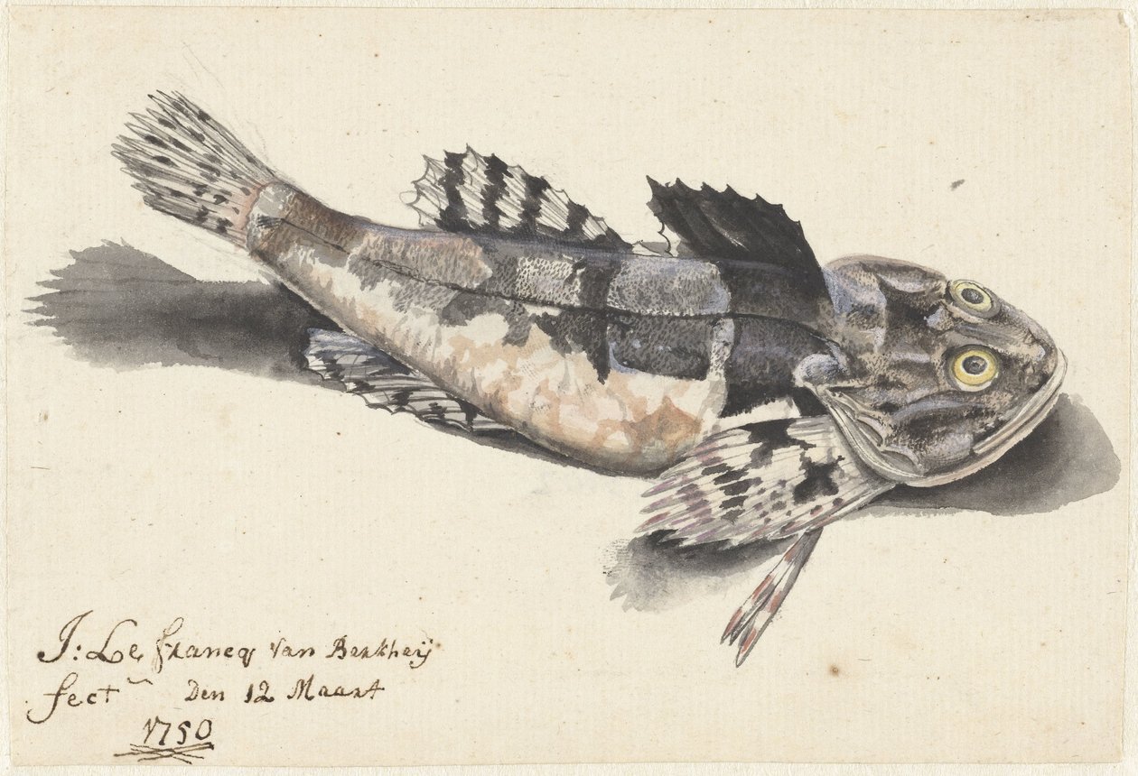Podmořská cesta od Johannes le Francq van Berkhey