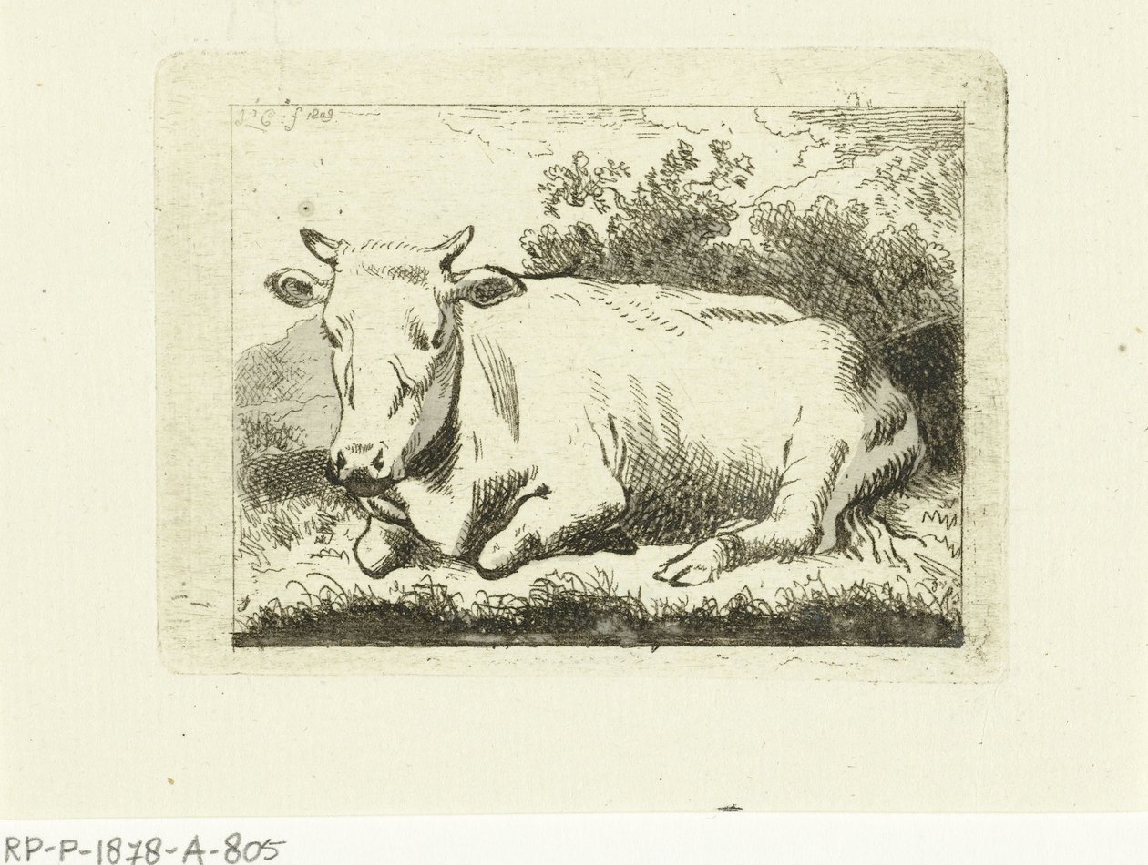 Ležící kráva od Johannes van Cuylenburgh