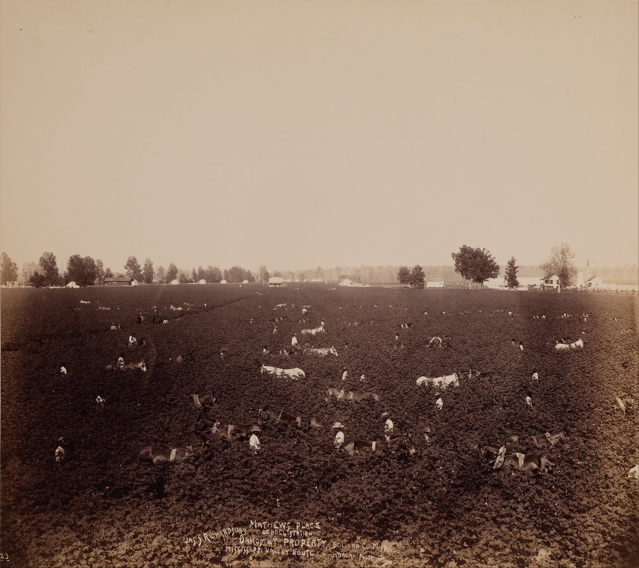 Mathews Place, Lobdell Station, Jass. Richardsons Property, Bolivar County., Miss., Mississippi Valle ... od John Horgan Jr.