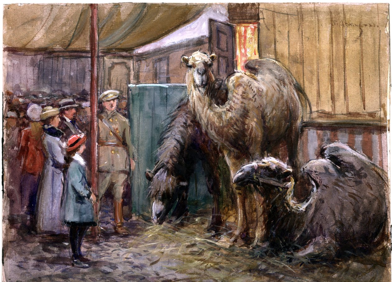 Bostock od John Atkinson