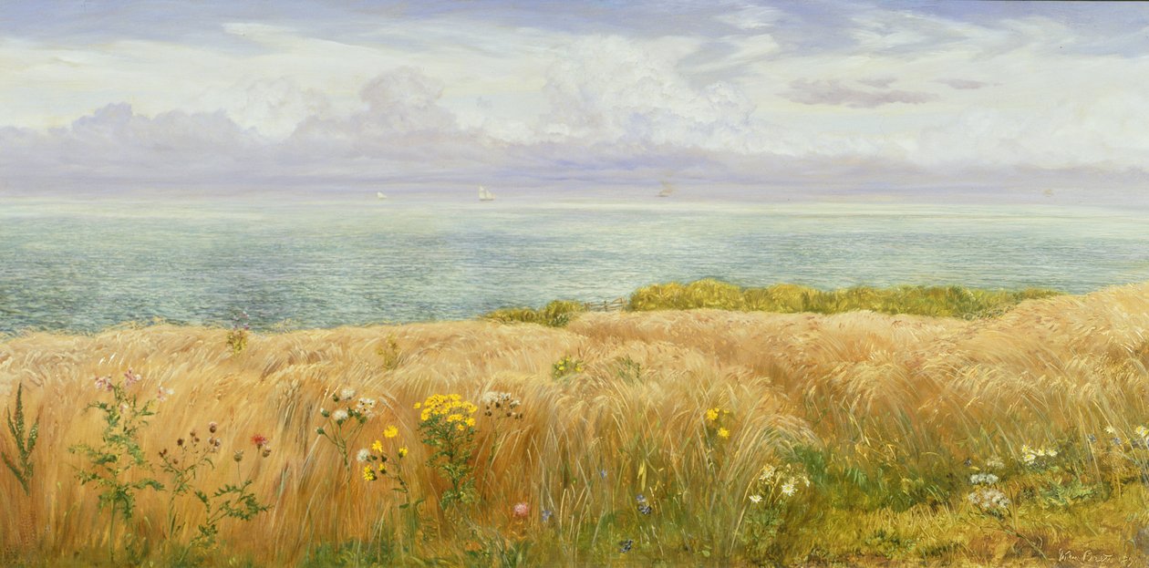 Léto na útesech, 1891 od John Brett