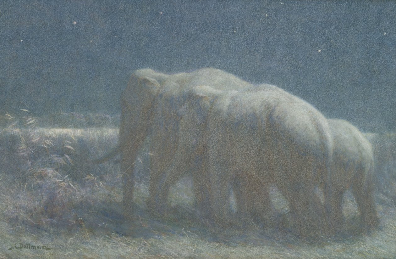 Noc, 1908 (čb a křída na papíře) od John Charles Dollman