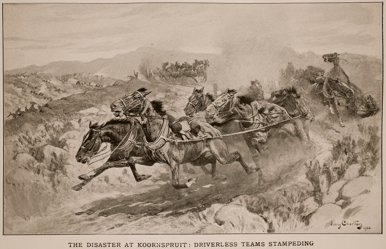 Katastrofa v Koornspruitu: týmy bez řidičů, 1900 od John Charlton