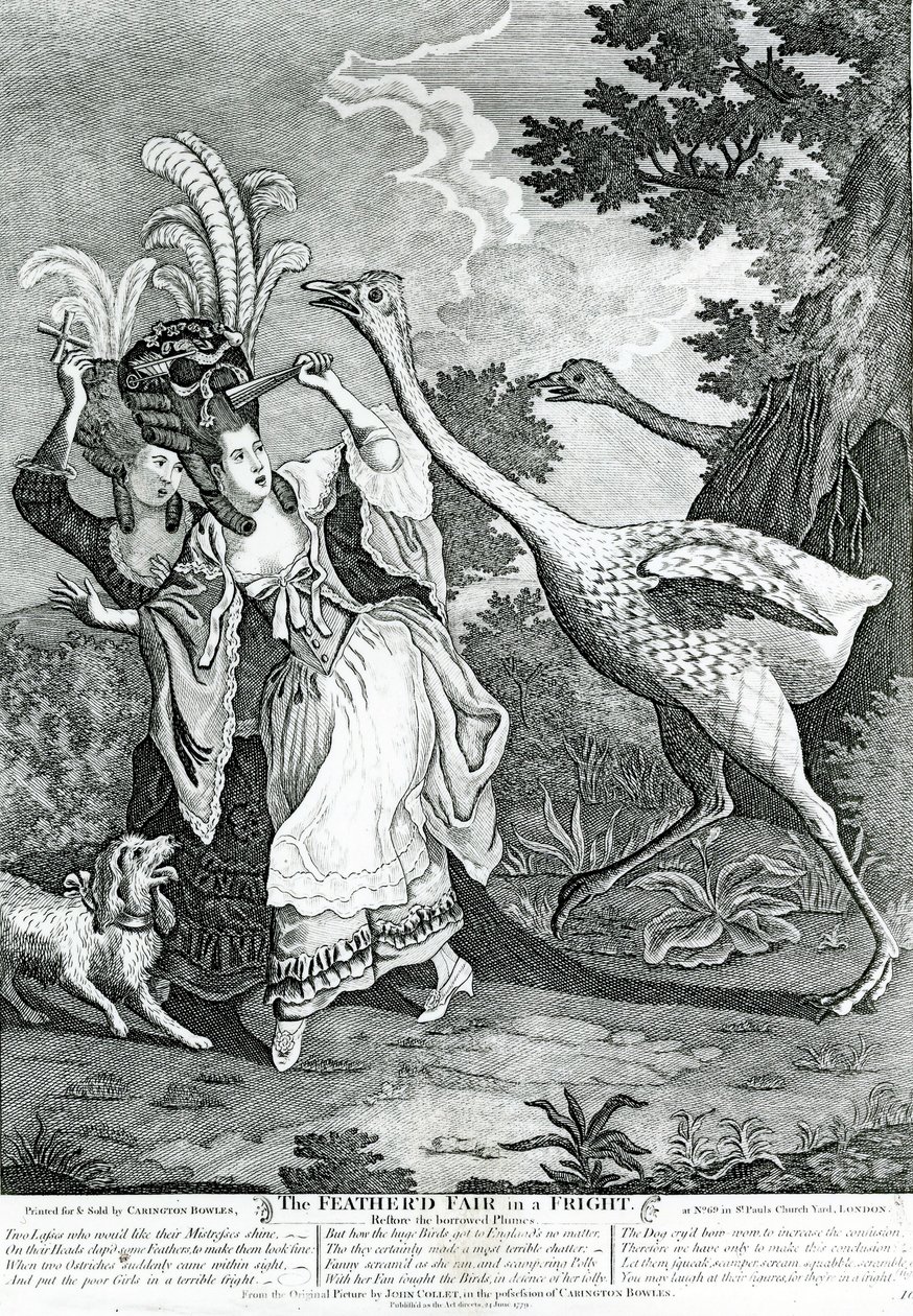 Opeřený přítel ve zděšení, 1779 od John Collet