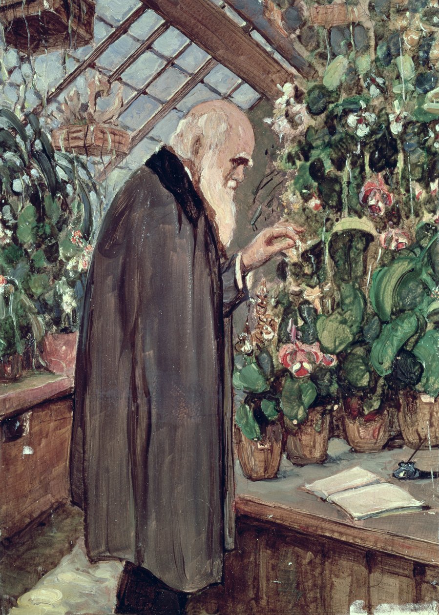 Charles Robert Darwin (1809-82) od John Collier