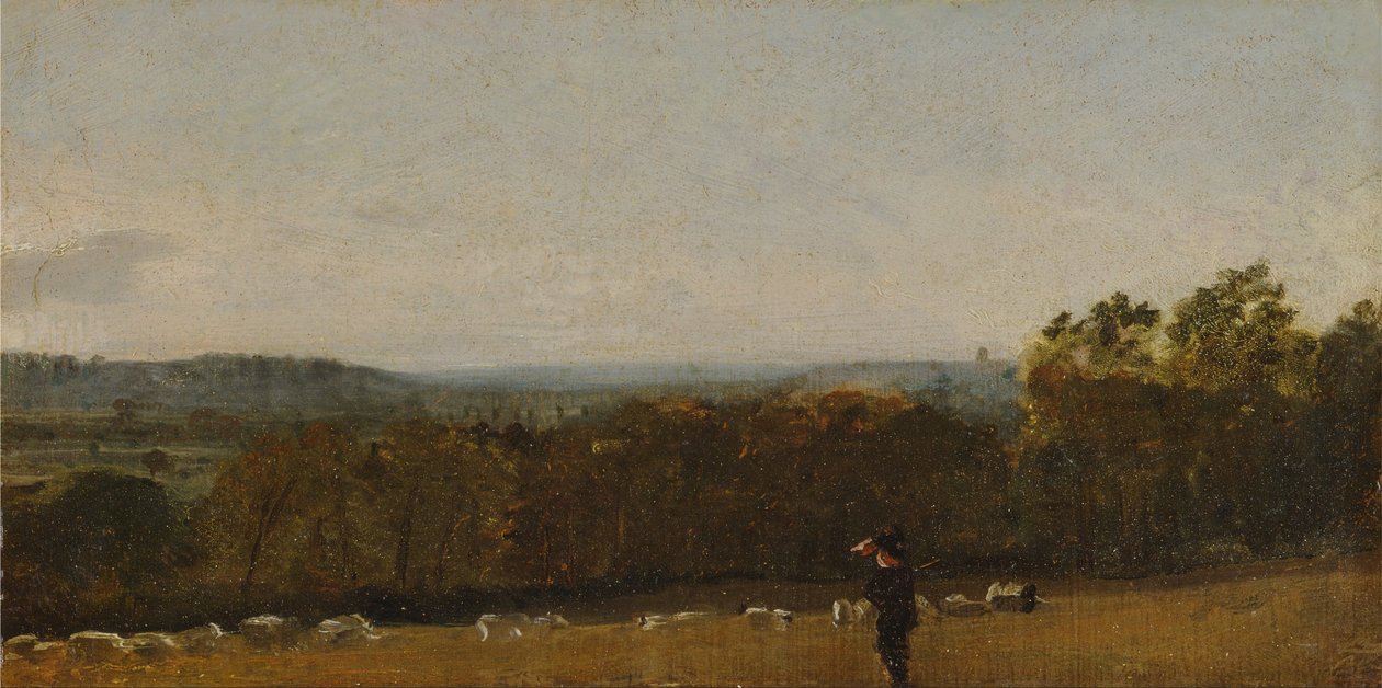 Ovčák v krajině hledící přes Dedham Vale směrem k Langhamu od John Constable