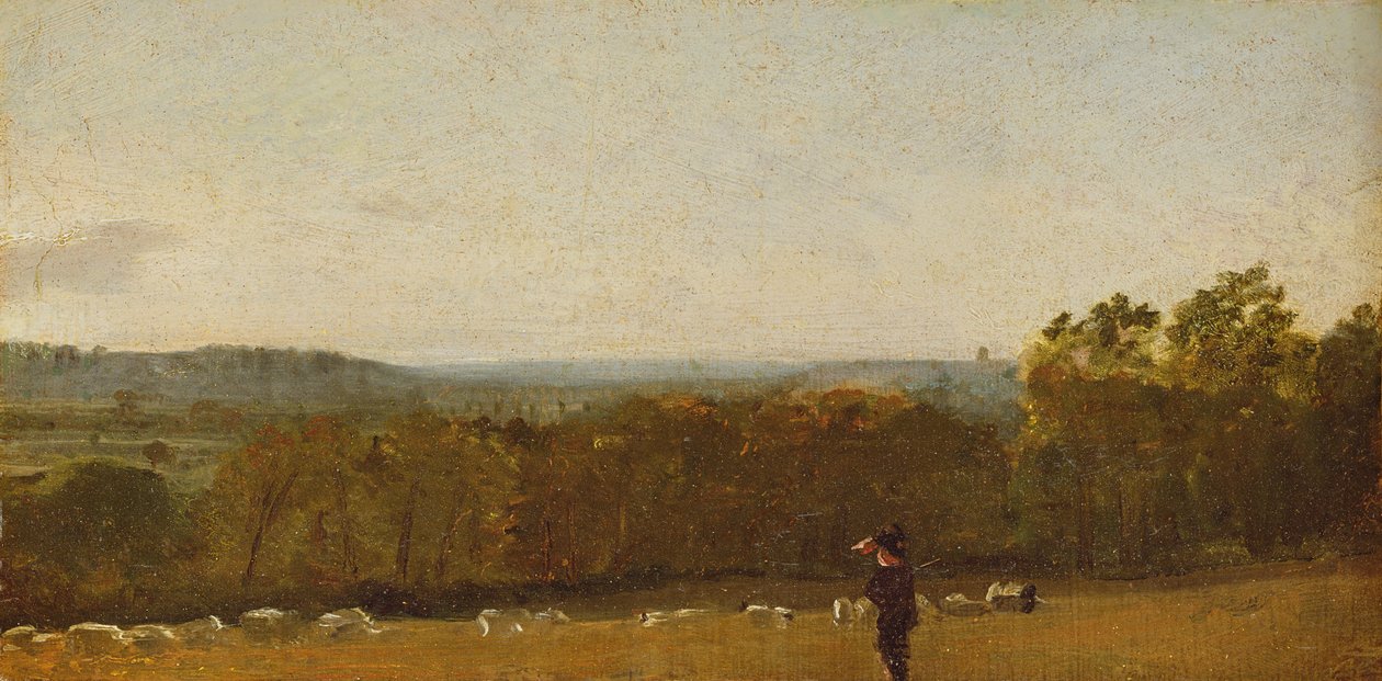 Pastýř v krajině při pohledu přes Dedham Vale směrem k Langhamu, kolem roku 1810 (olej na papíře na plátně) od John Constable