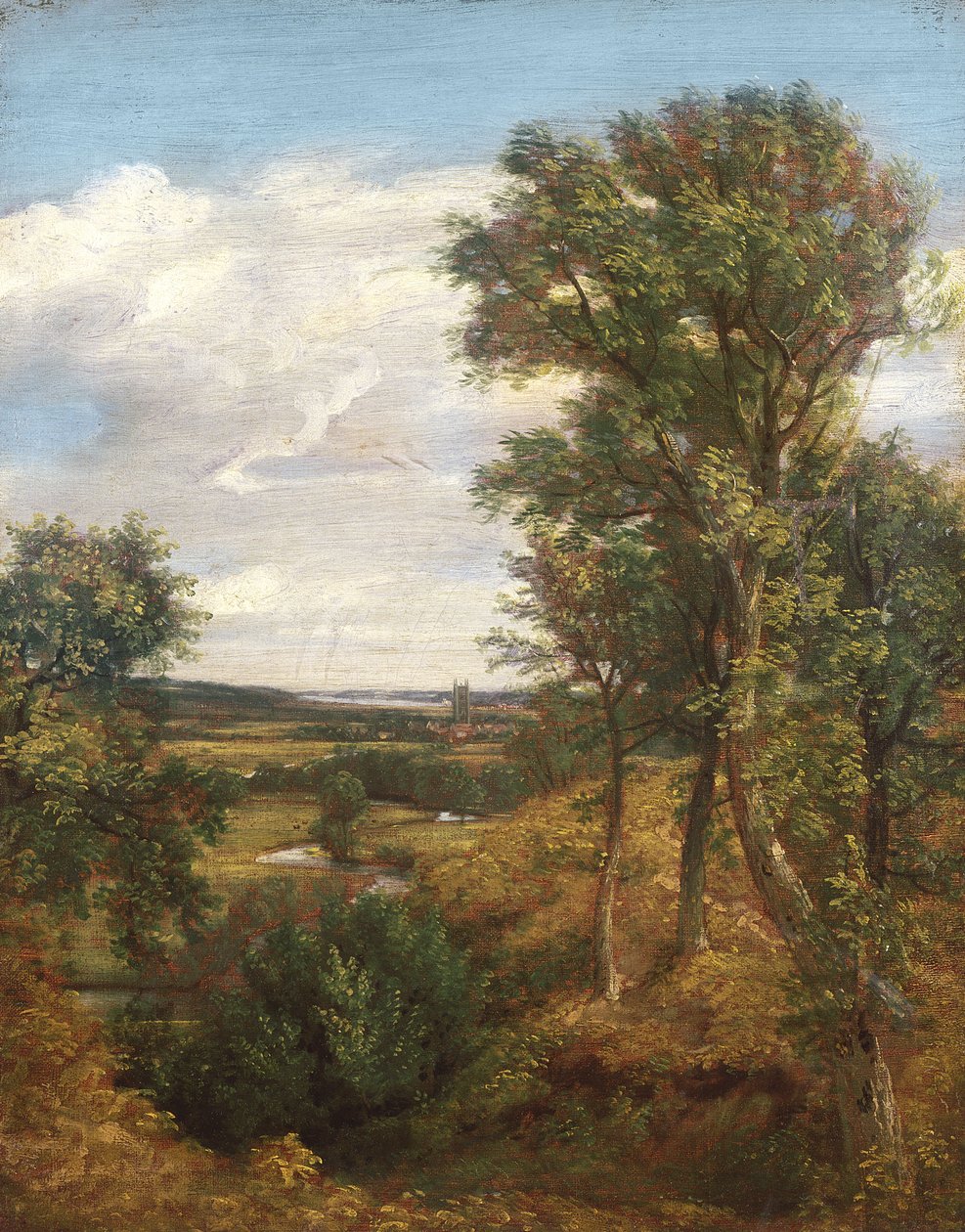 Dadham Wale, 1802 od John Constable