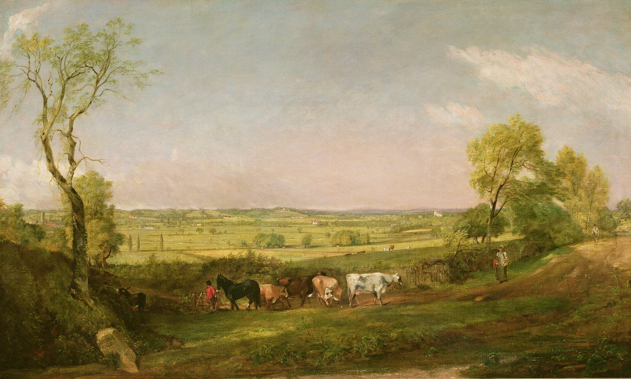 Dedham Vale: Ráno, kolem roku 1811 od John Constable