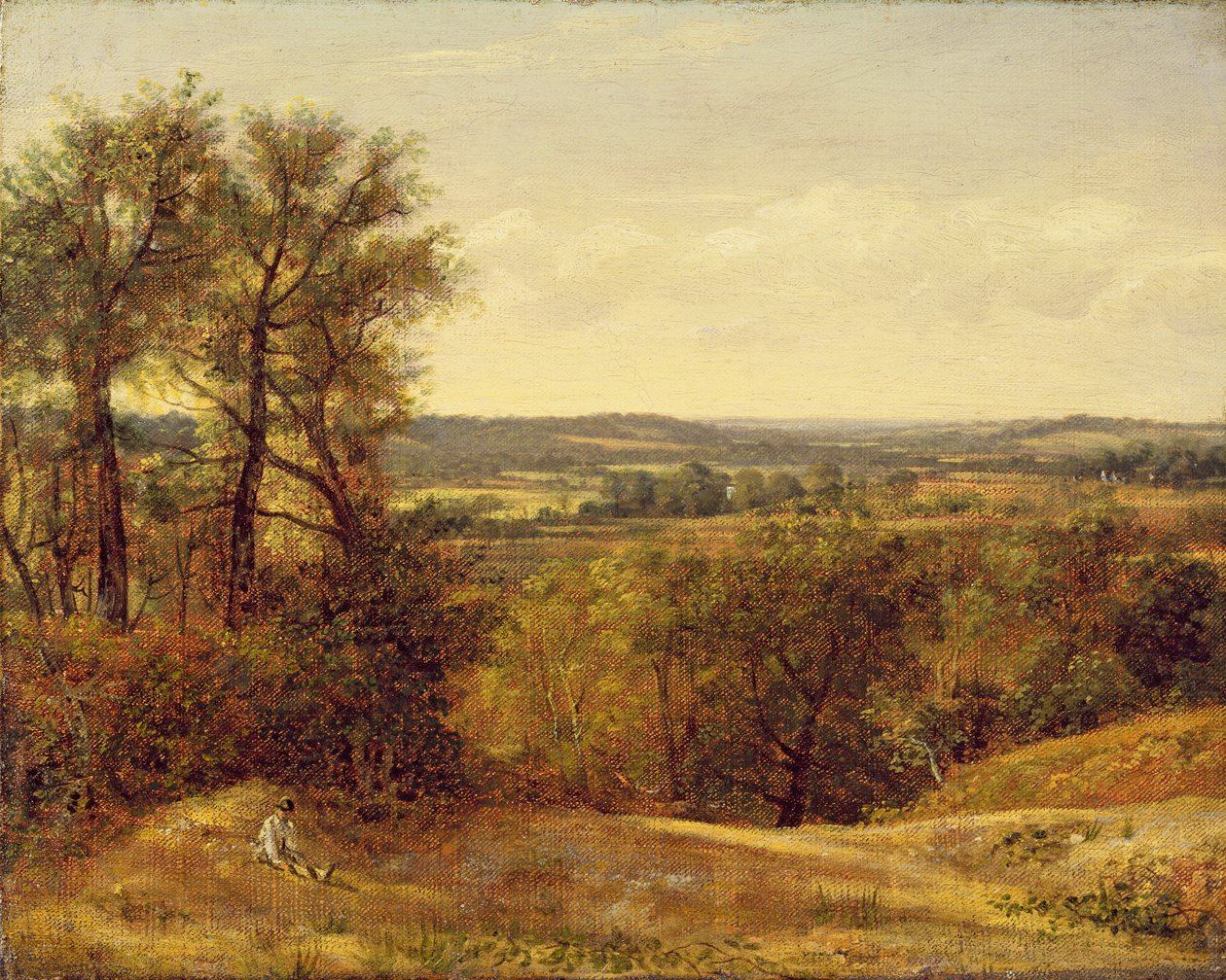 Dadham Wale, č. 1802 od John Constable