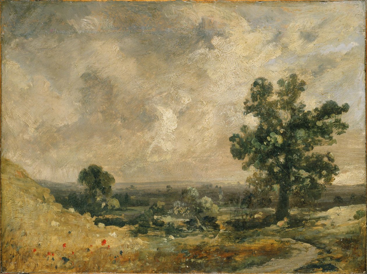 Anglická krajina od John Constable