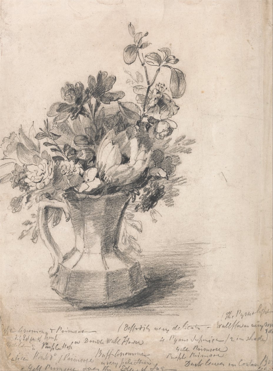 Květiny v džbánu od John Constable