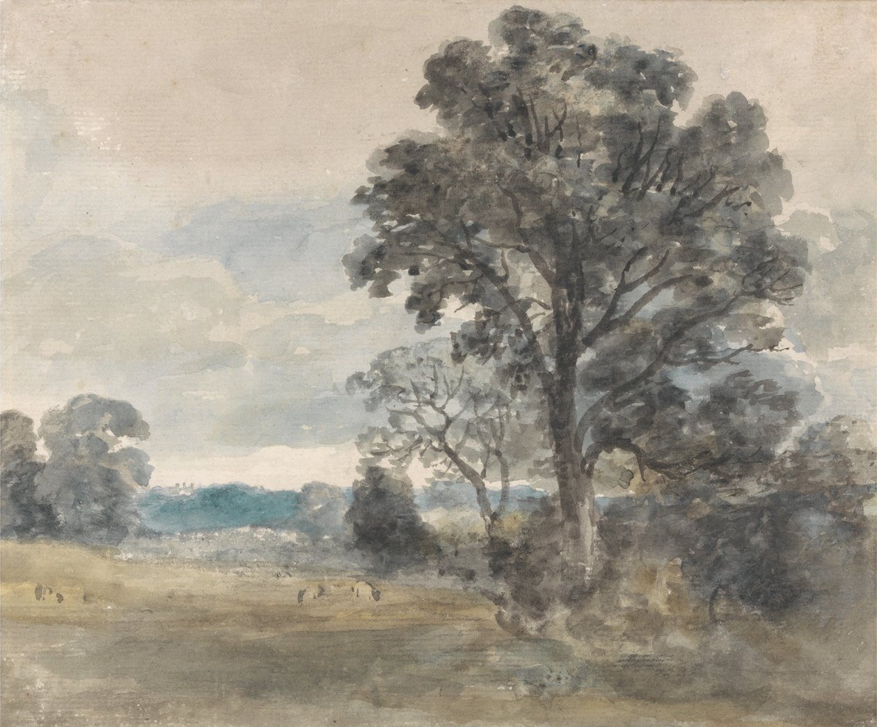 Krajina ve východním Bergholtu od John Constable