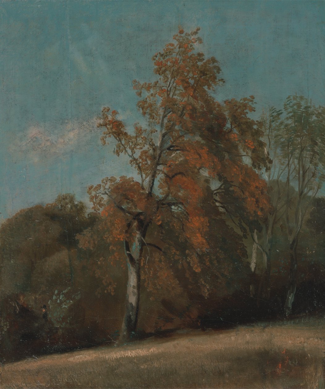 Studie jasanu od John Constable