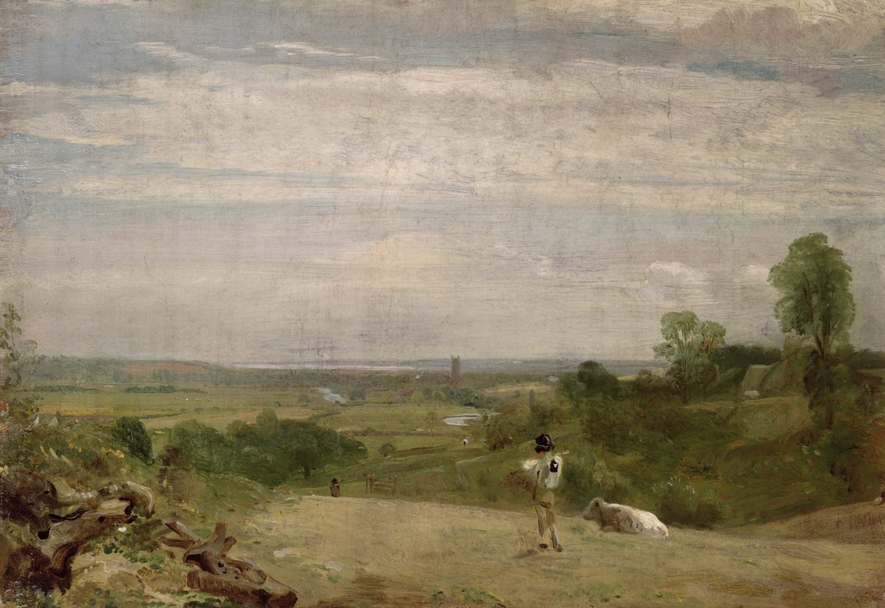 Letní ráno: Dedham z Langhamu od John Constable