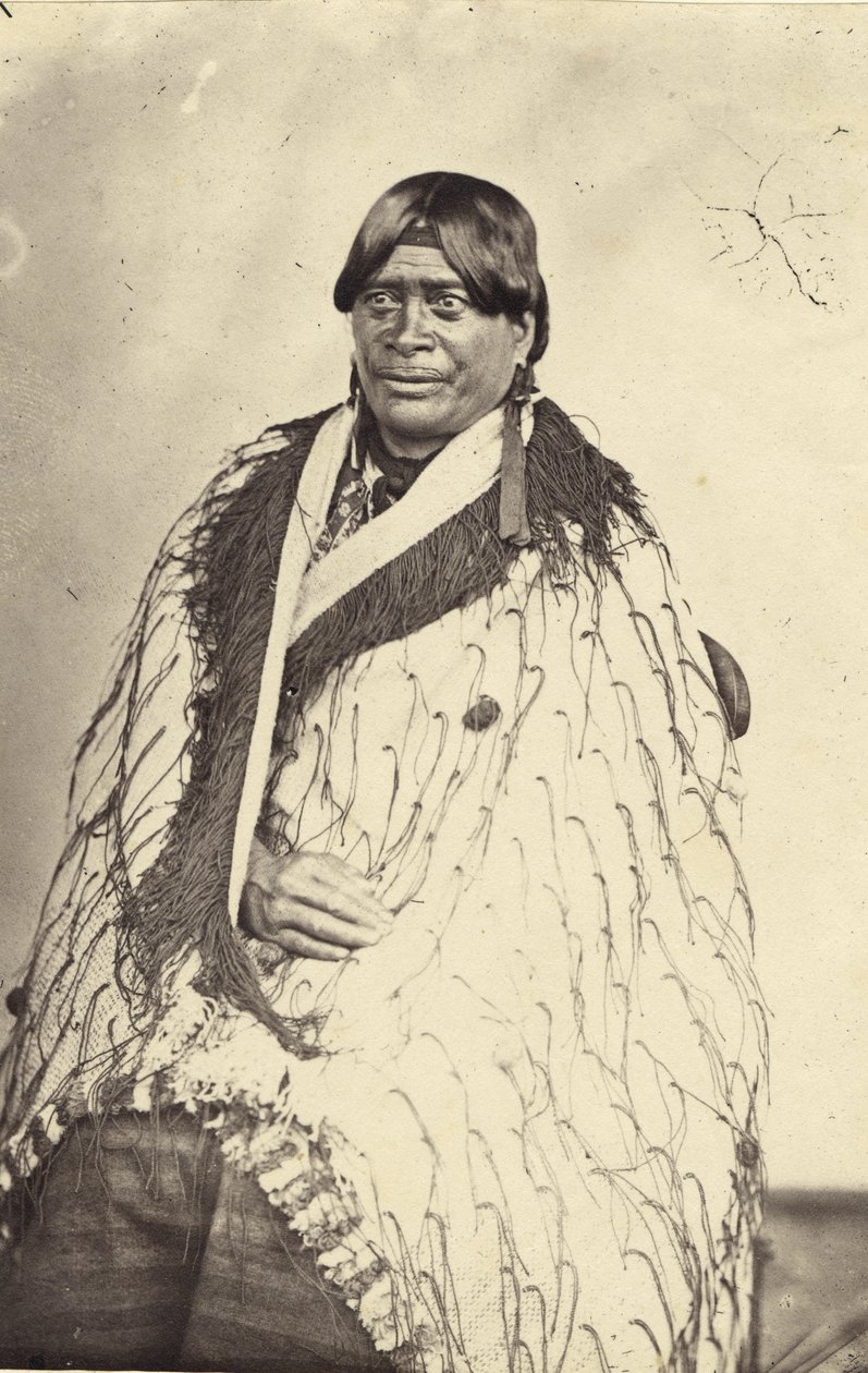 Královna z Tairoa, asi 1860 (albumenový tisk) od John Nicol Crombie
