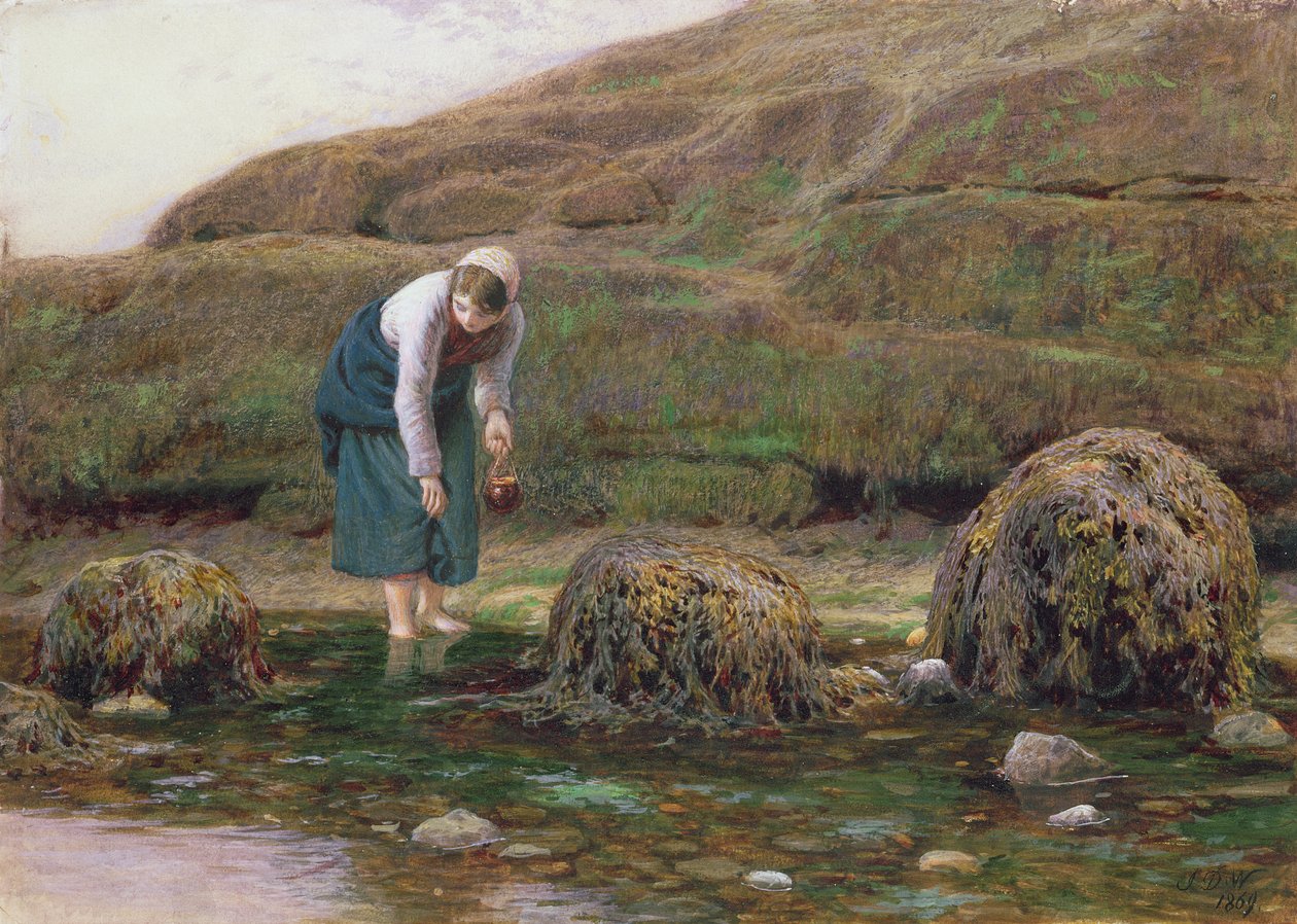 The Winkle Gatherer, 1869 od John Dawson Watson