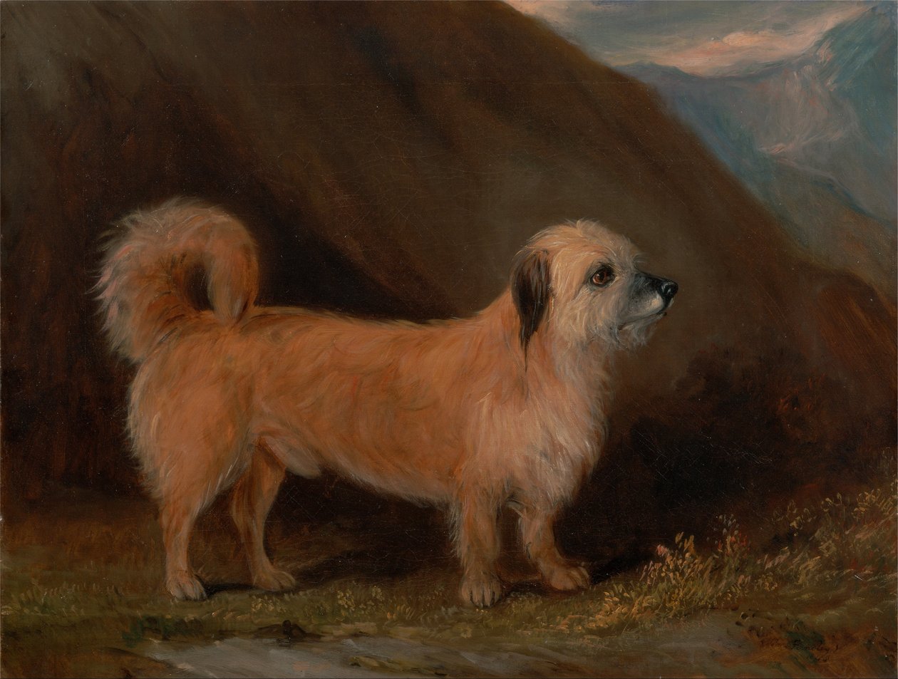 Dandie Dinmont teriér od John E. Ferneley