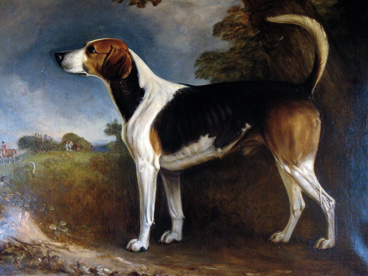 Rallywood, 1850 od John E. Ferneley