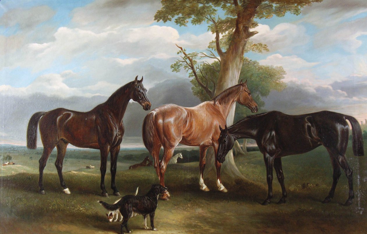 6. vévodovi oblíbení lovci a psi, 1857 od John E. Ferneley