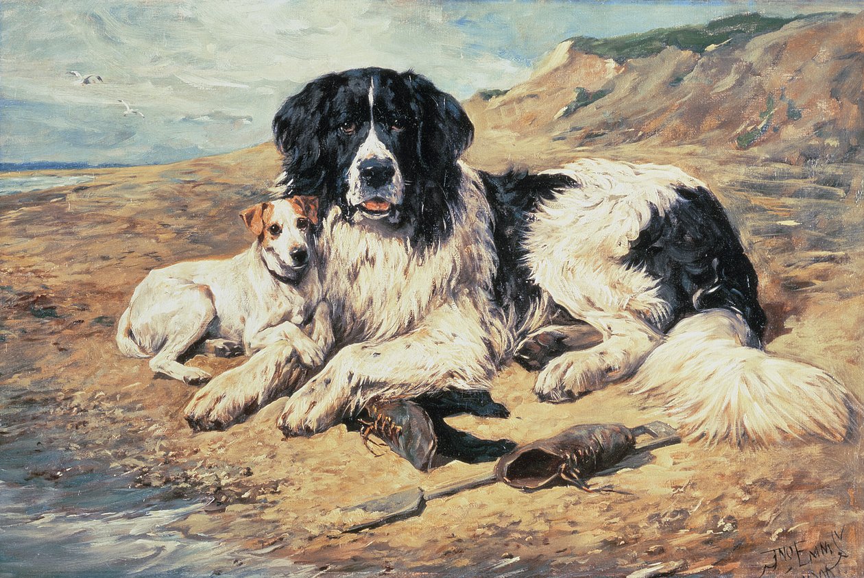 Dogs Watching Lathers, 1900 od John Emms