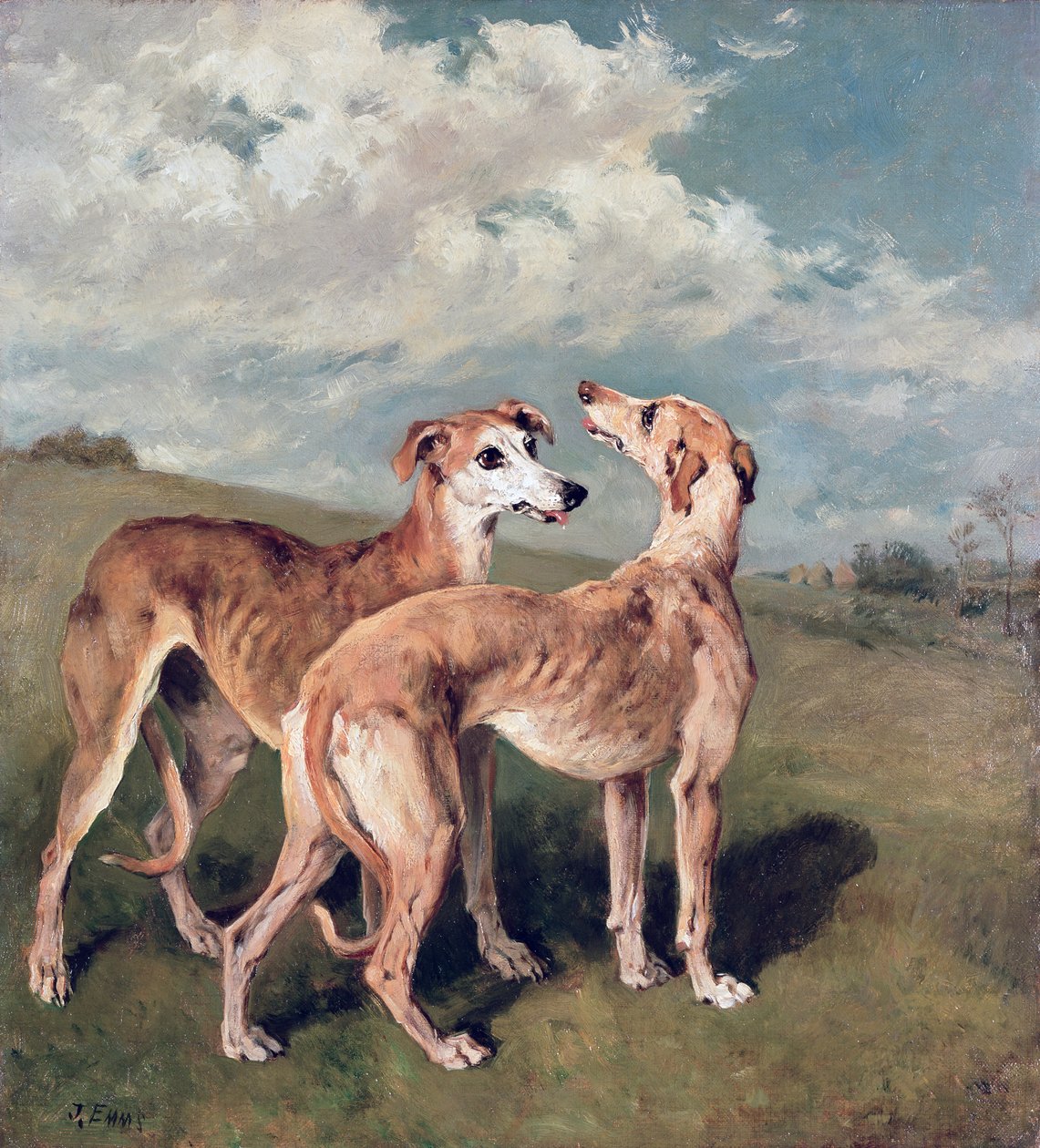 Greyhoundi od John Emms