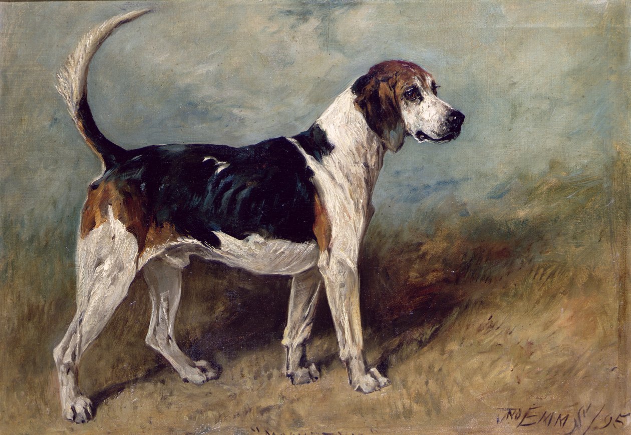 Měsíční kámen, 1895 od John Emms