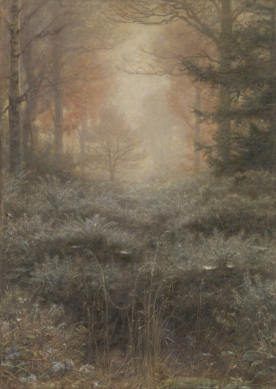 Rosou zalitý Furze od John Everett Millais