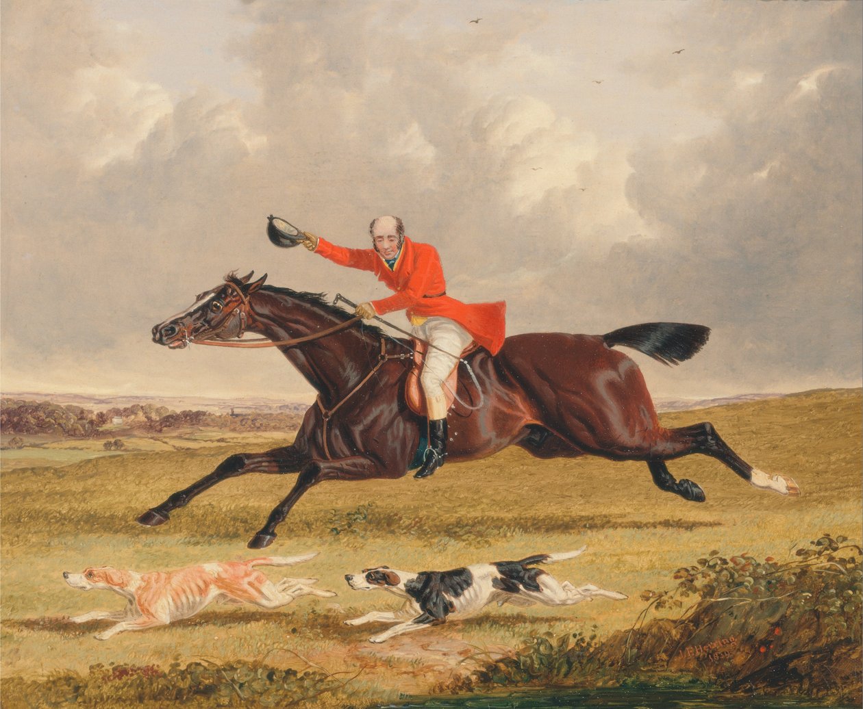 Foxhunting- povzbuzující ohaři od John F. Herring