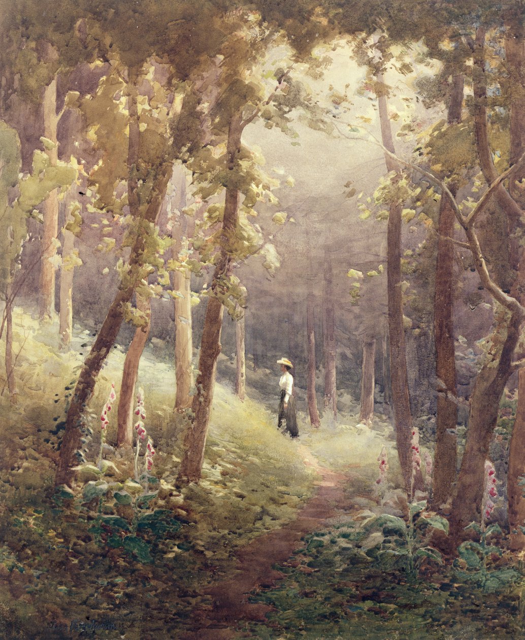 Woodland Glade od John Farquharson