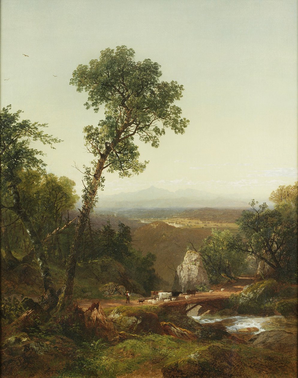Krajina Bílé hory, 1859 od John Frederick Kensett