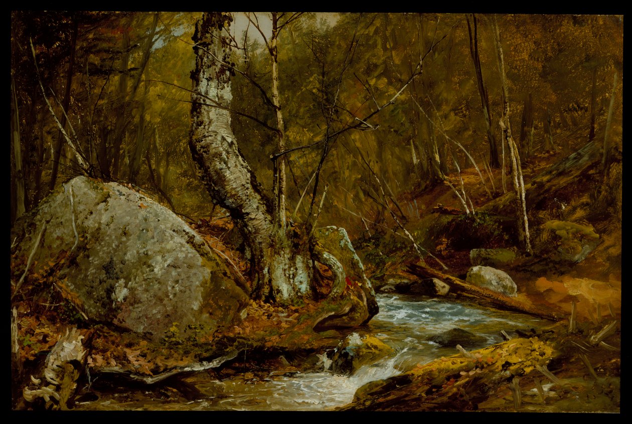 Lesní interiér, cca 1850-55 od John Frederick Kensett