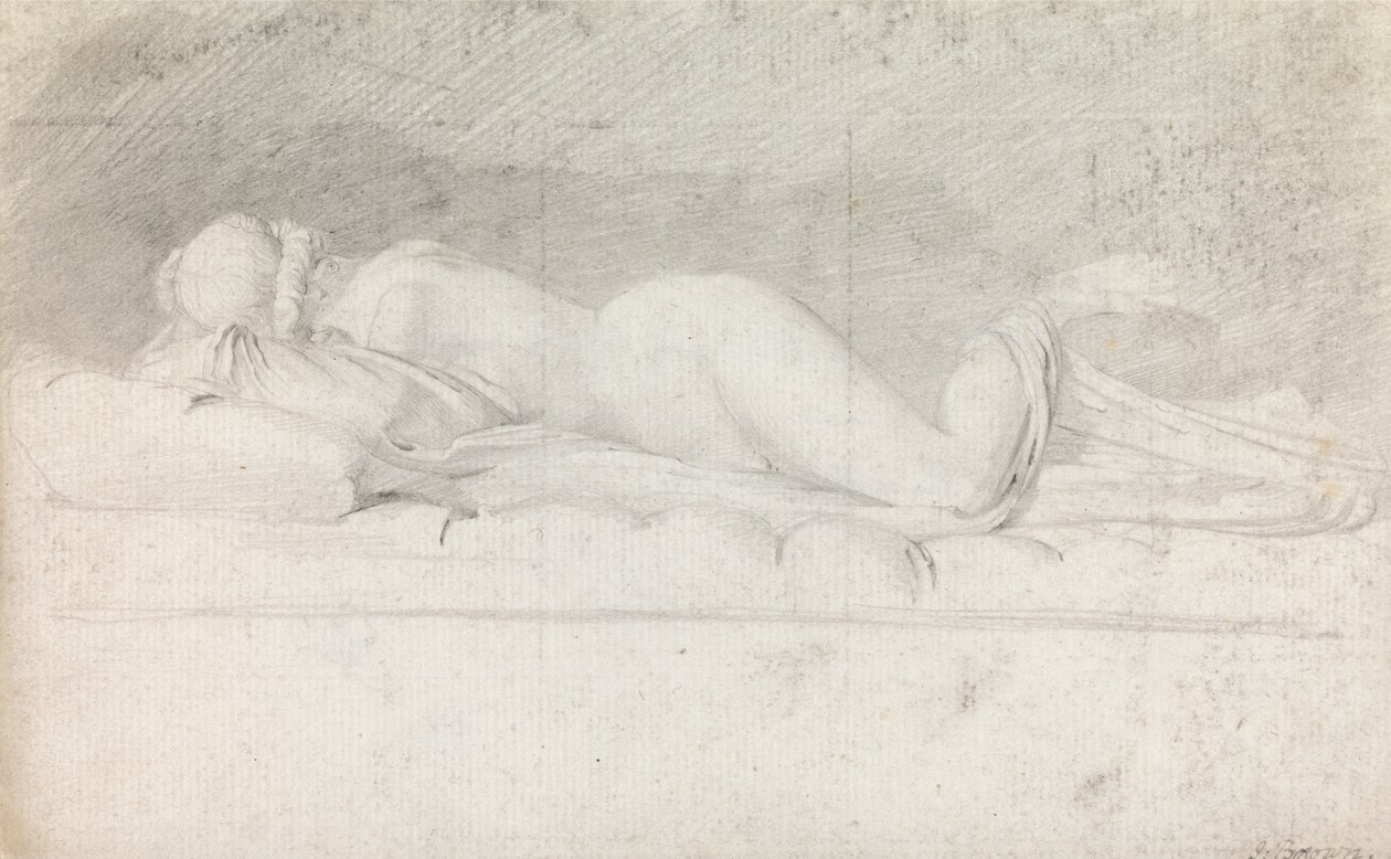 Studium hermafroditů od John George Brown