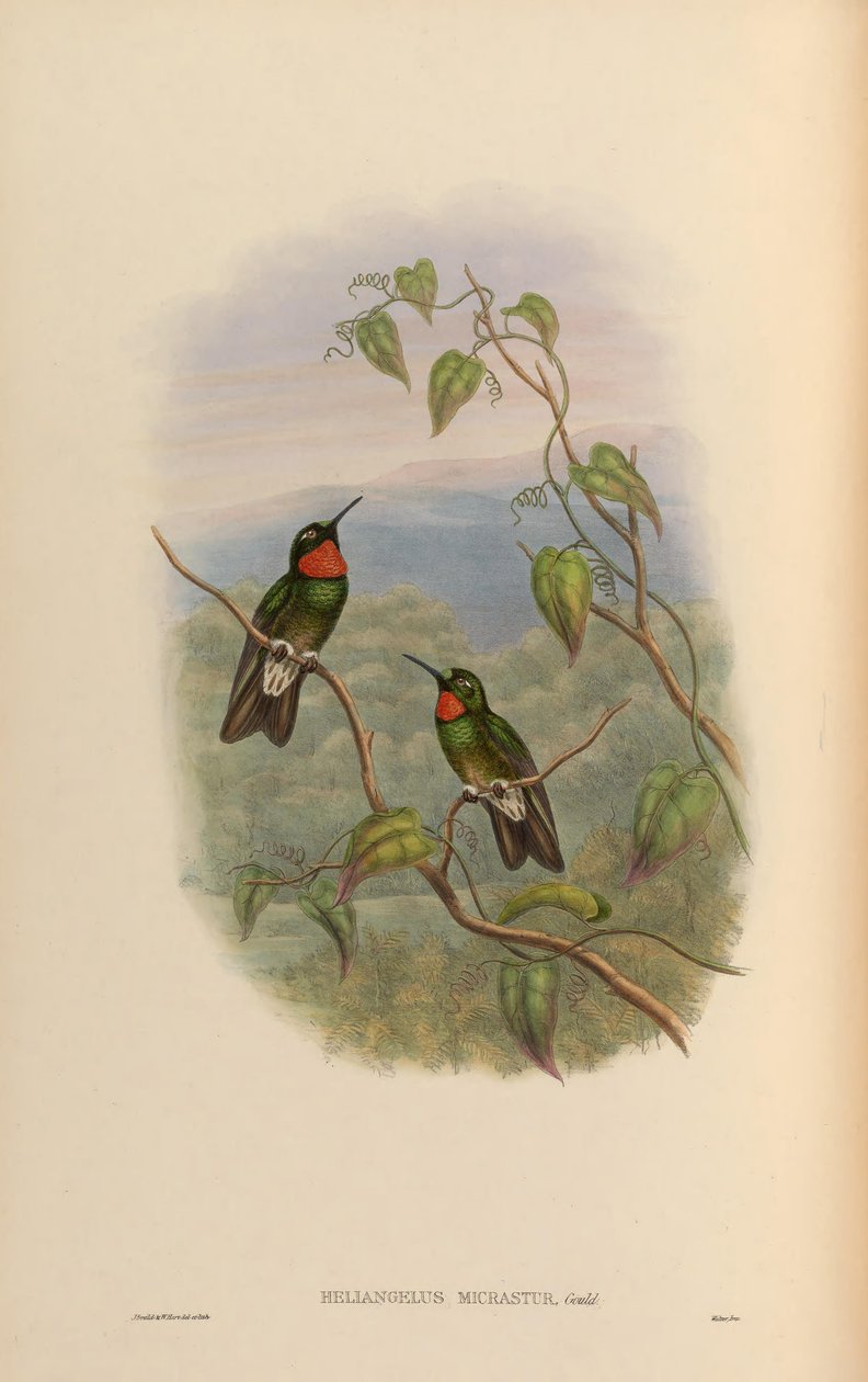 Najednou, když se na silnici připojí k Micře = vynutí si rastr Angel USM IC od John Gould